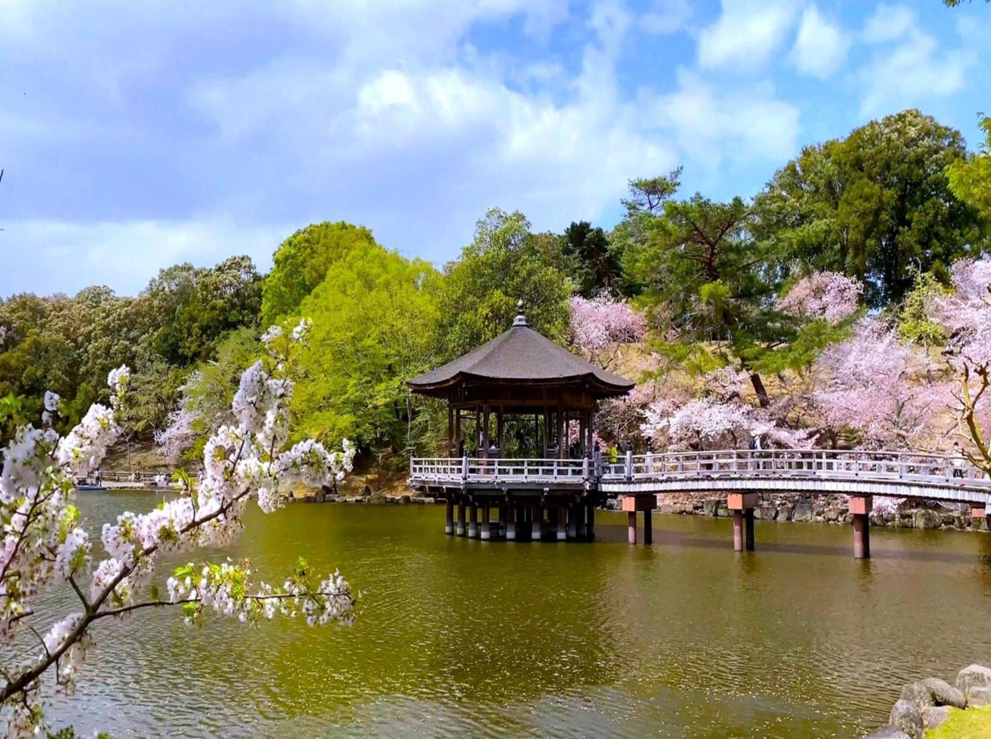 Henn Na Hotel Nara Bagian luar foto